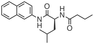 CPAG-1