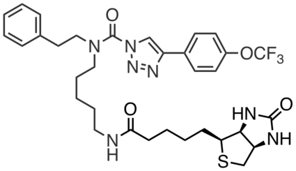 HT02