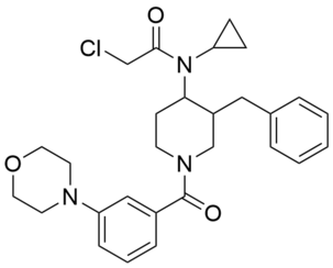 YY4